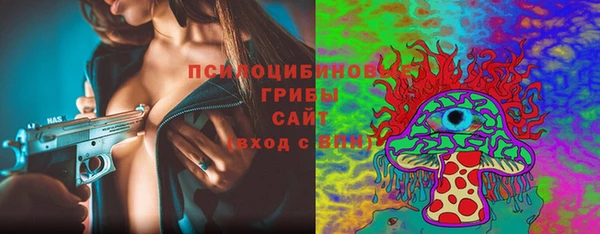 сатива Абинск