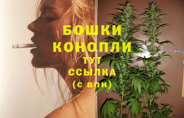 сатива Абаза