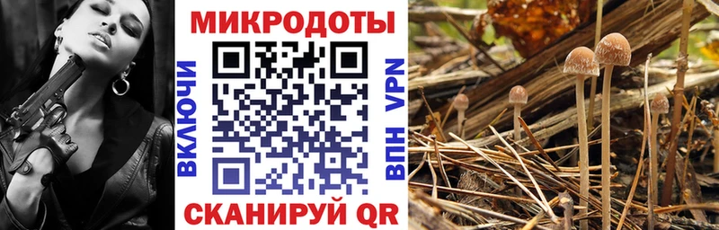 Галлюциногенные грибы Cubensis  блэк спрут ССЫЛКА  Шимановск 